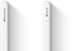 Apple Pencil Pro dan Apple Pencil (USB-C) berdampingan