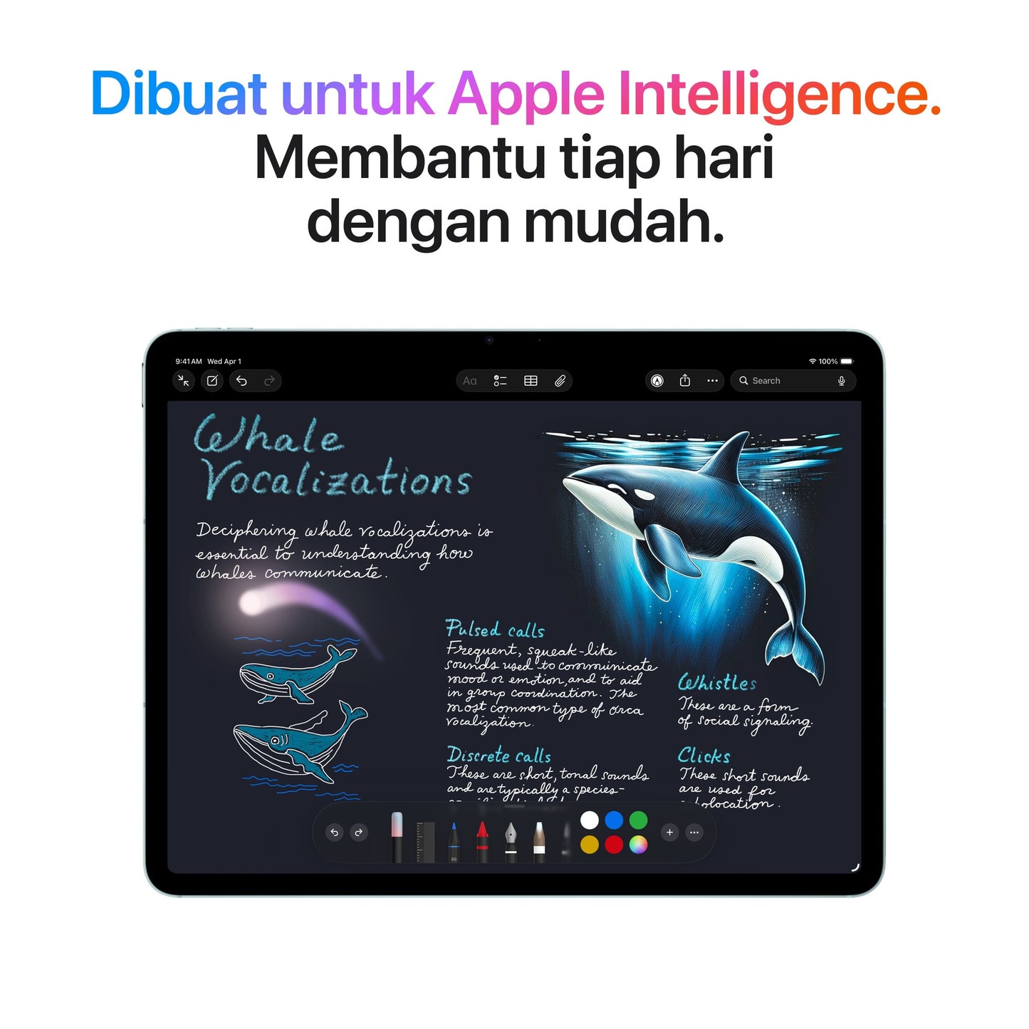 iPad Air 13-inch M4 Wi-Fi + Cellular