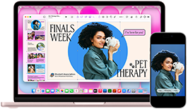 MacBook Neo, warna blush, di samping iPhone, layar MacBook Neo menampilkan presentasi berjudul Finals Week Pet Therapy dengan foto seseorang sedang memegang marmut, layar iPhone menampilkan foto yang sama, yang telah diubah menjadi stiker untuk digunakan dalam presentasi